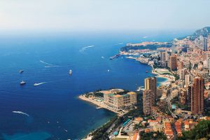 monaco-cats- Nos formules d'hébergement et de domiciliation à Monaco